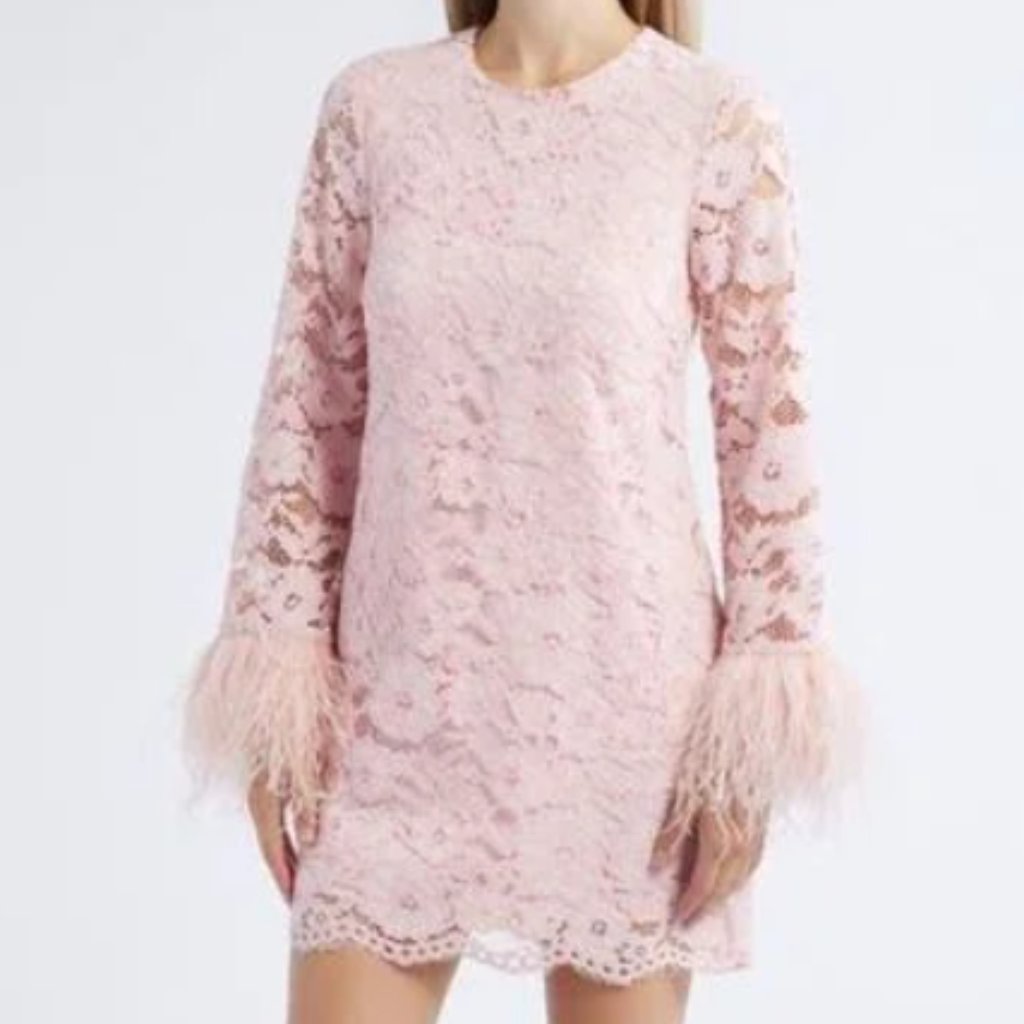 Likely Lorie Feather Trim Long Sleeve Lace Mini Dress In Rose Shadow Nwt